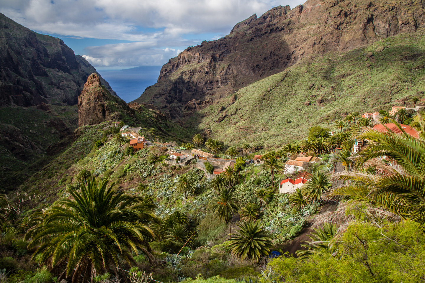 Discover Rural Tenerife