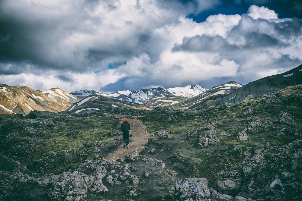 jonatan-pie-oDfB5yi376g-unsplash