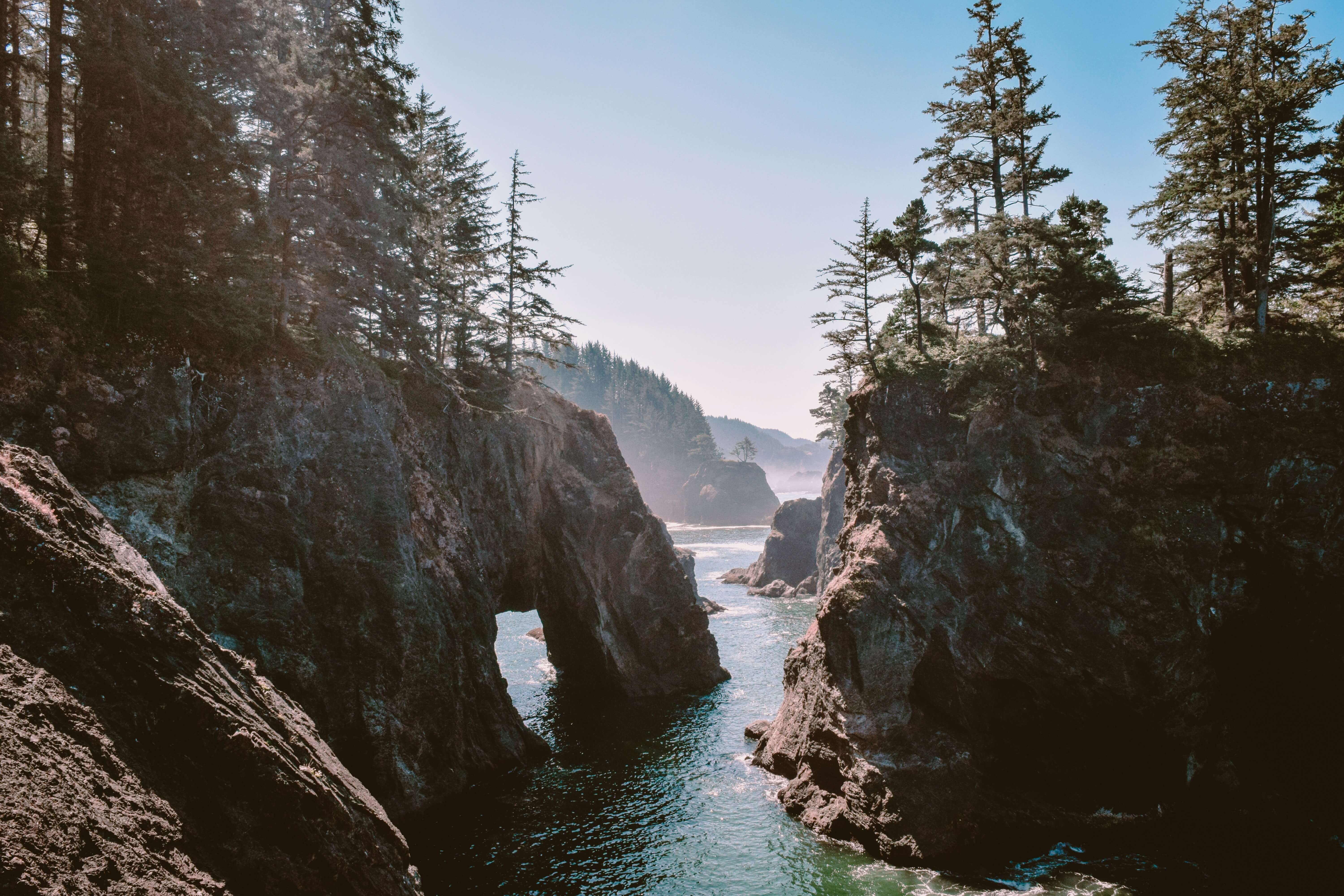 katie-musial-QvN-1FFJpHc-unsplash (1)