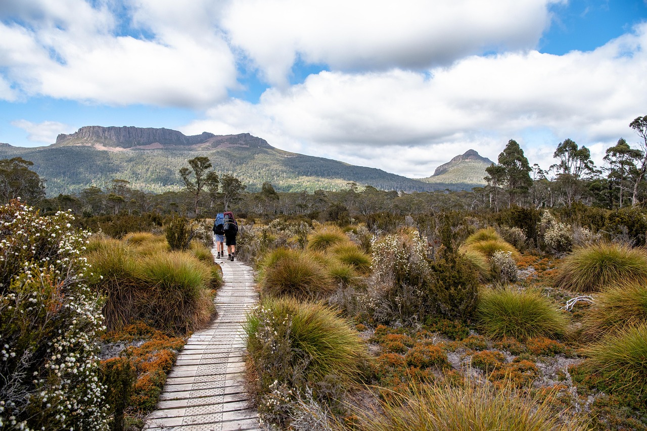 overland-track-3906035_1280