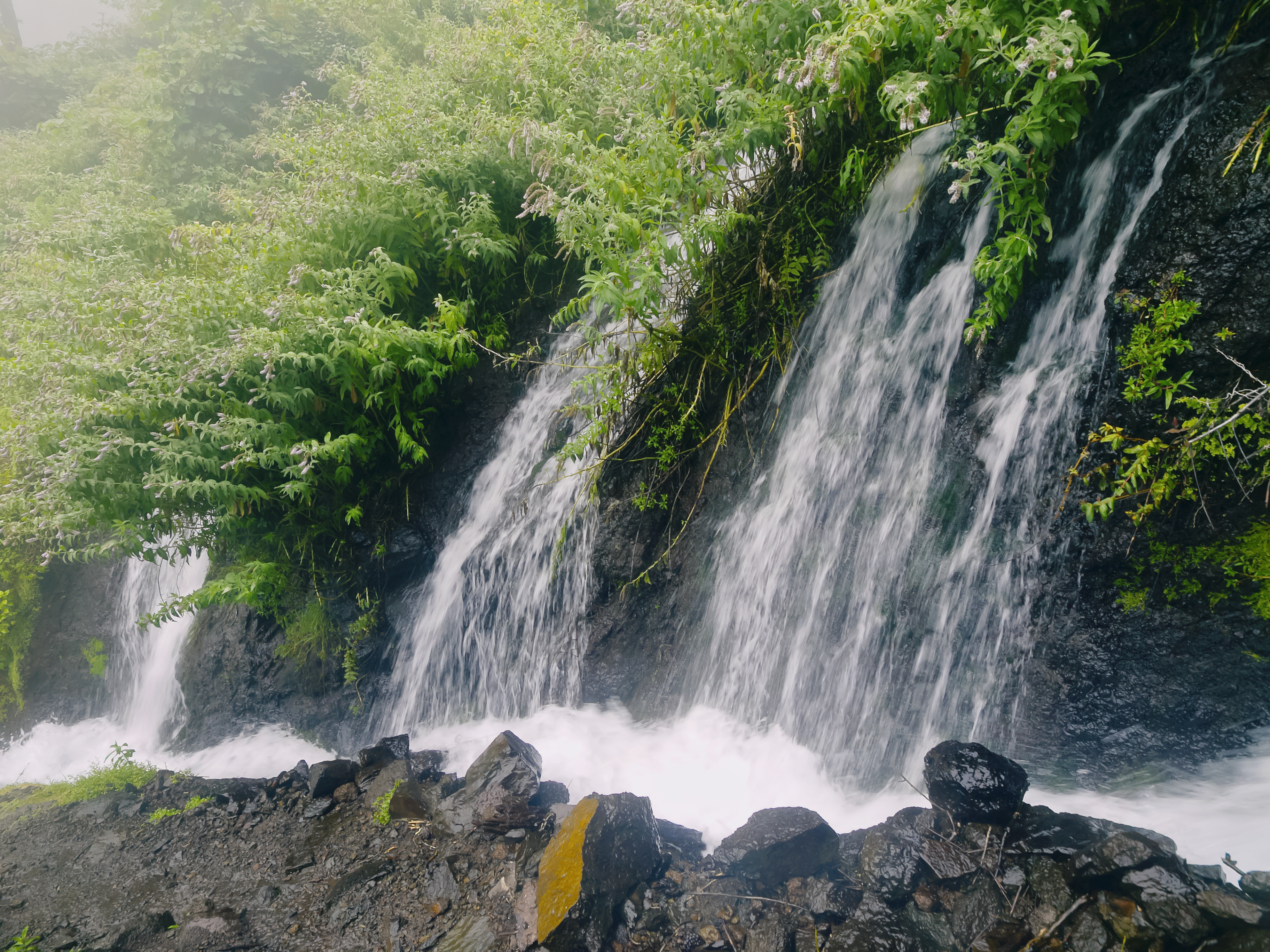 Nacientes,Marcos,Y,Cordero,-,Beautiful,Trail,On,The,Island