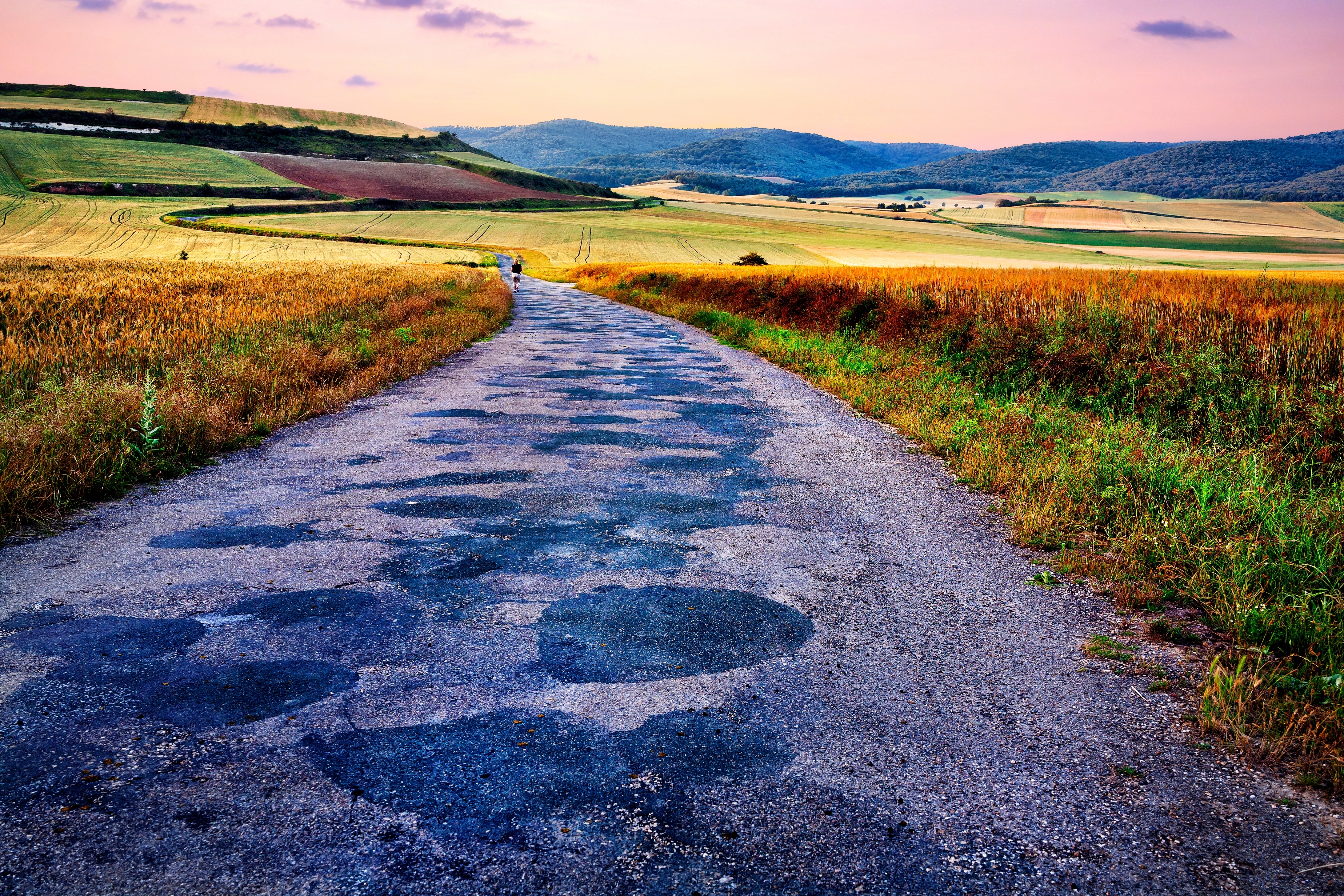 Road,Between,Fields,To,Morales.,Logroño.,La,Rioja.,Spain.