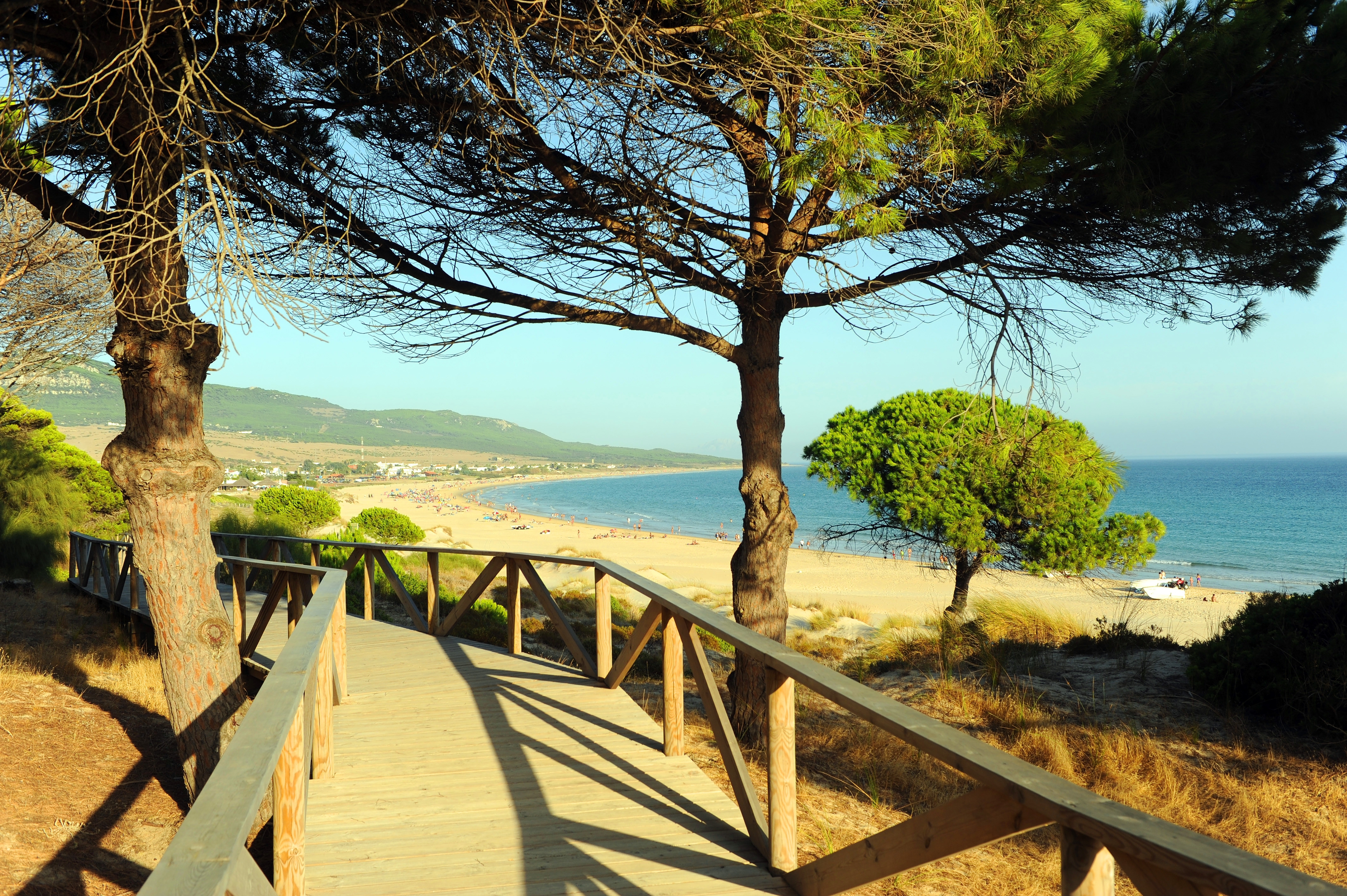 Wooden,Walkway,For,Hiking,In,The,Natural,Park,Of,The